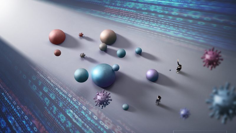宠物抗体检测试剂盒：规格解析与选购要点