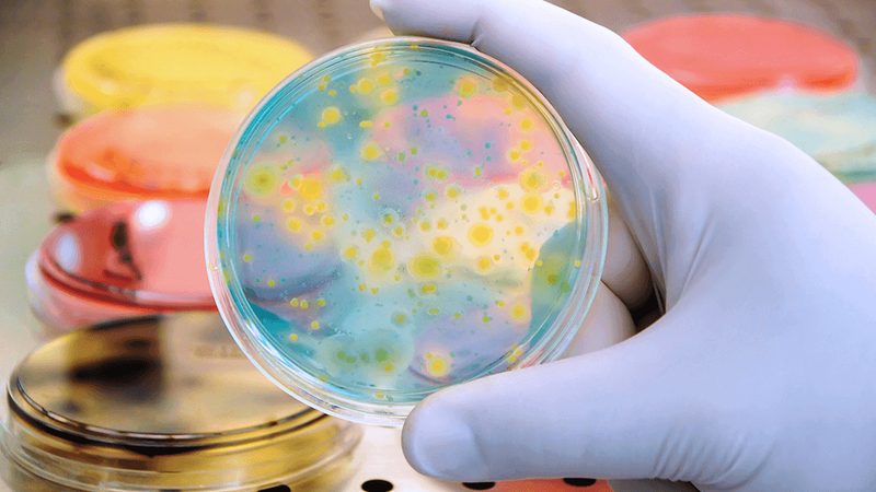 HEX荧光引物合成：揭秘其关键工艺与报价构成