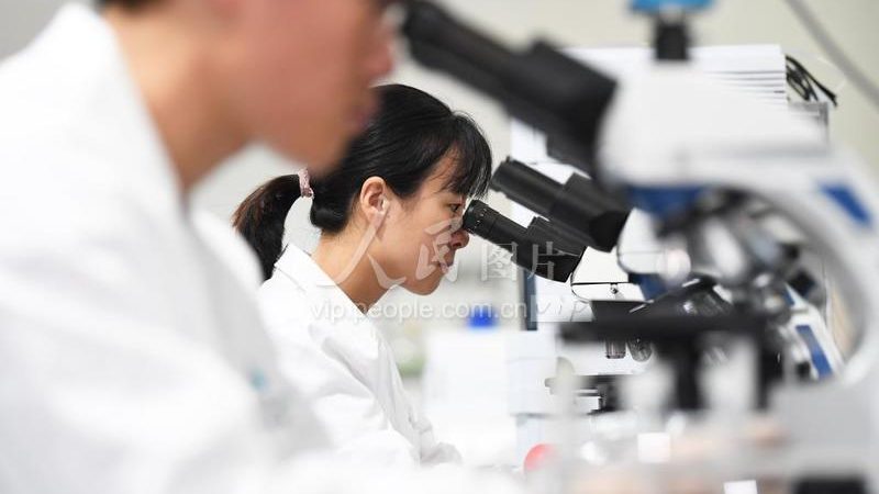 PCR引物合成：揭秘其关键性与选择要点