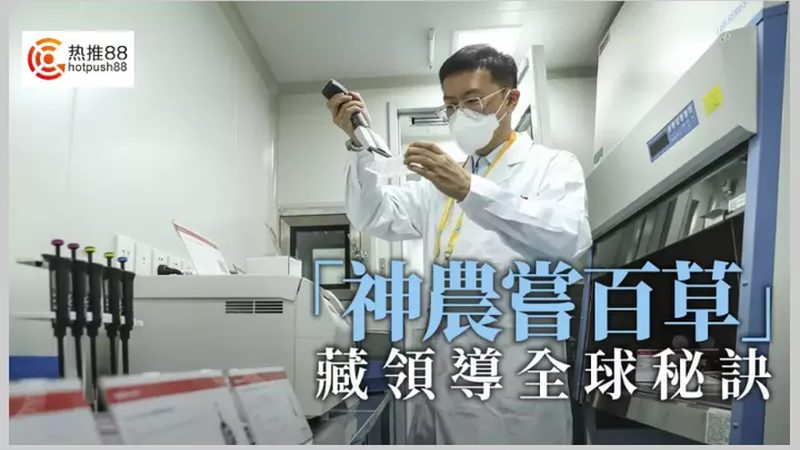 CDMO公司选择：揭秘医药研发背后的关键因素
