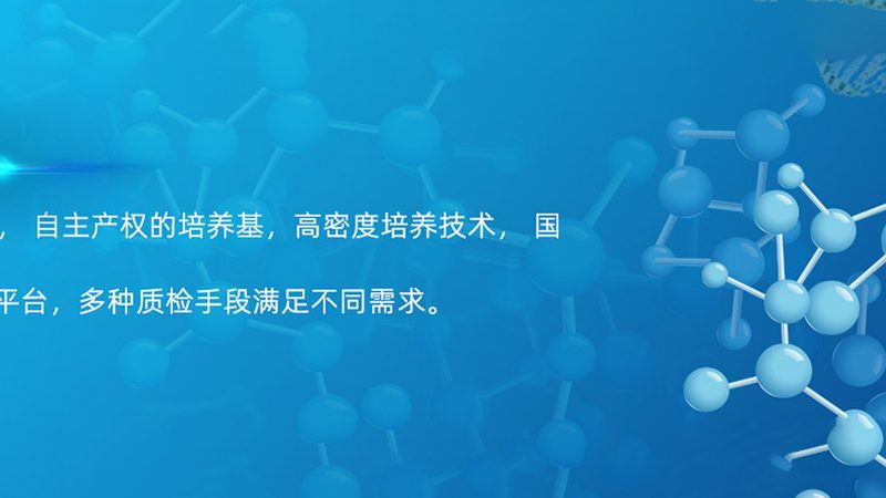 揭秘CRO优化公司：如何选择值得信赖的合作伙伴