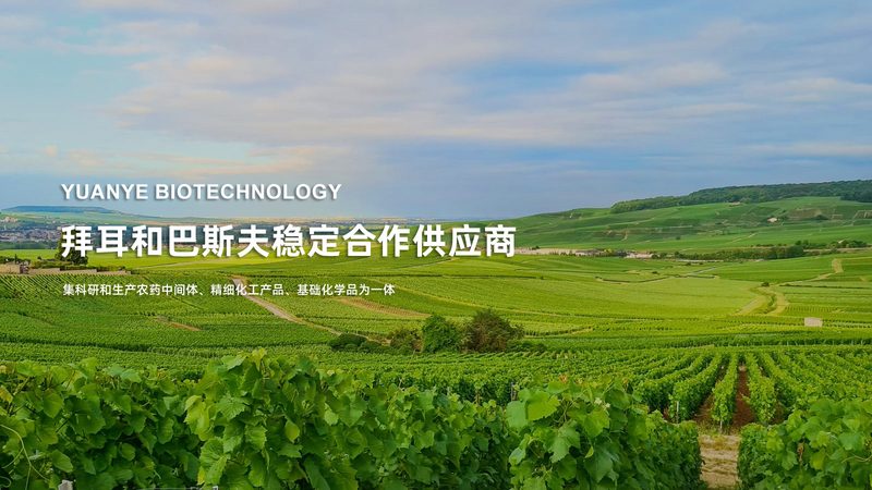揭秘生物制品公司规模排名背后的逻辑