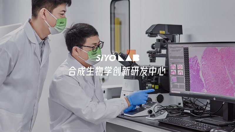 生物医药外包质量检验：流程揭秘与标准解析
