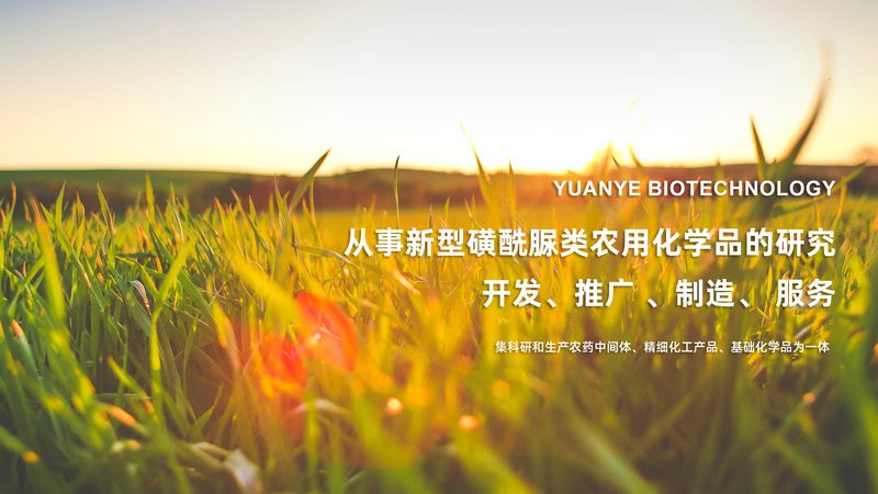 医药外包项目成本构成解析：揭秘背后的关键因素**