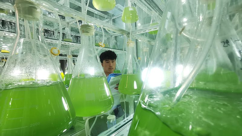 引物合成：广州生产厂家的技术优势与选择要点**